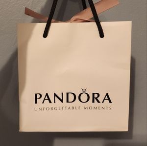 Authentic Pandora United in Love 14k and Sterling Silver Jewelry Set